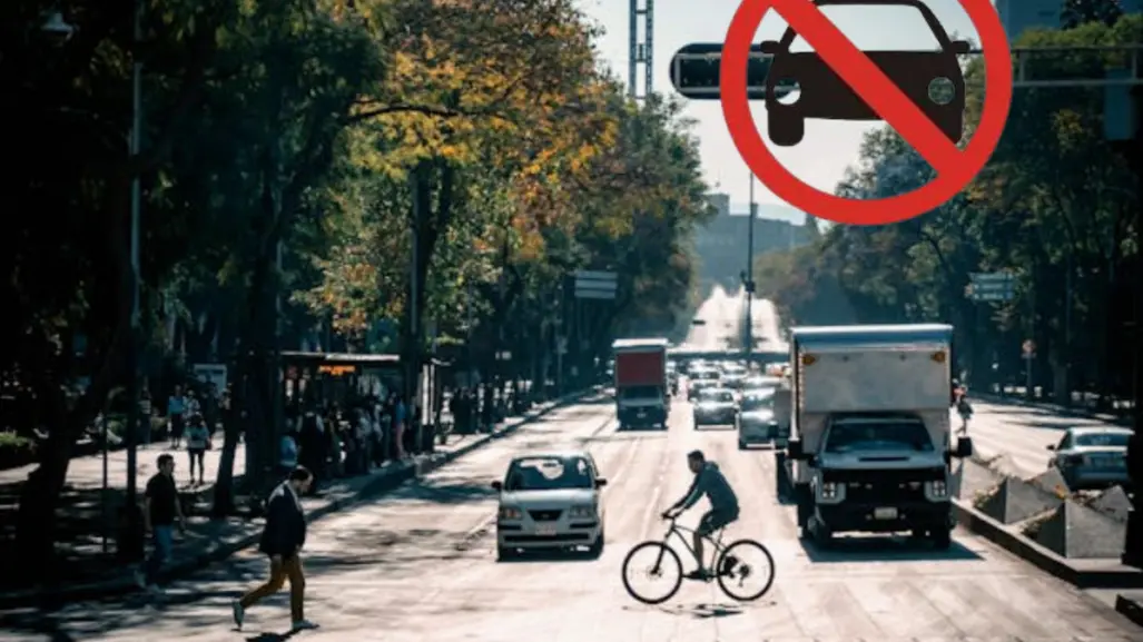 ¡Que no te sorprendan las multas! Consulta el Hoy no Circula