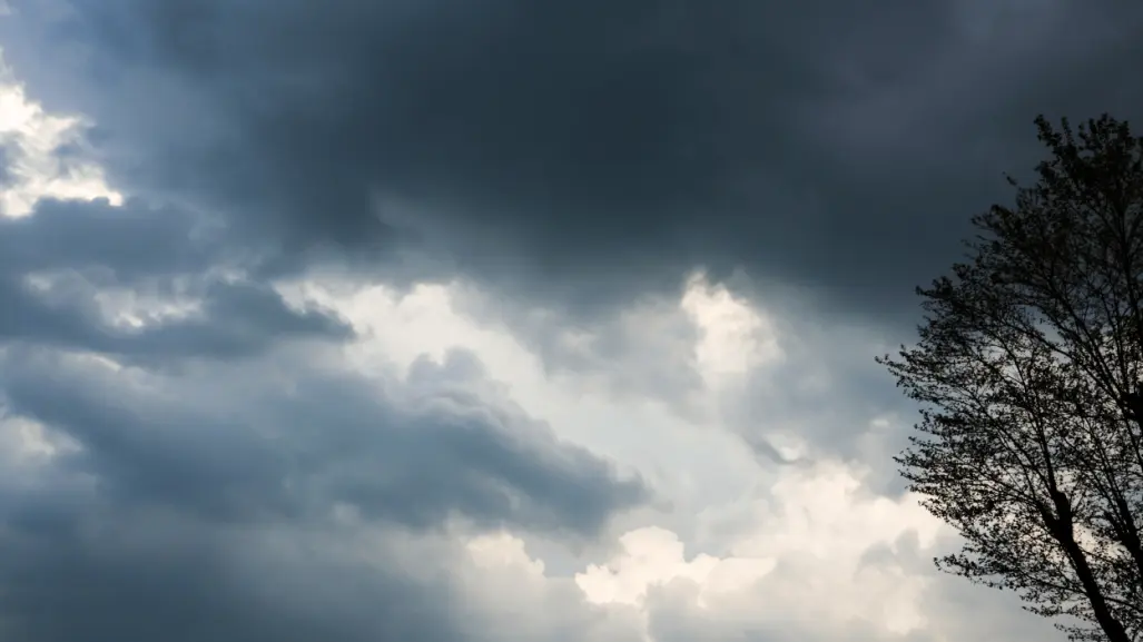 Clima en Tamaulipas: ambiente frío por la mañana ¿qué podemos esperar el fin de semana?