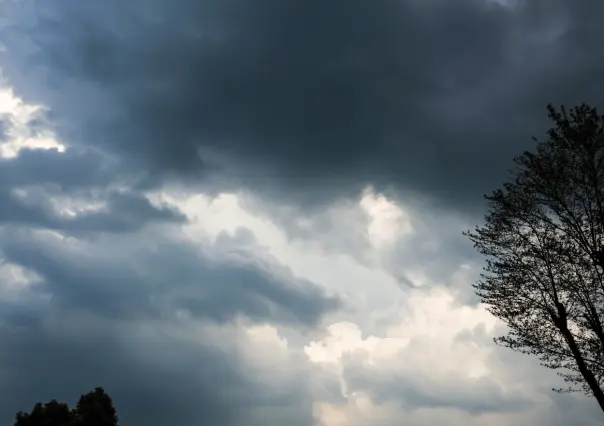 Clima en Tamaulipas: ambiente frío por la mañana ¿qué podemos esperar el fin de semana?