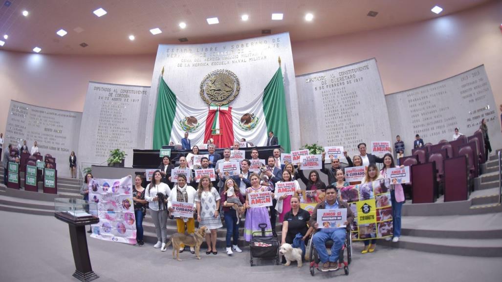 Veracruz eleva a constitucional la protección de los animales