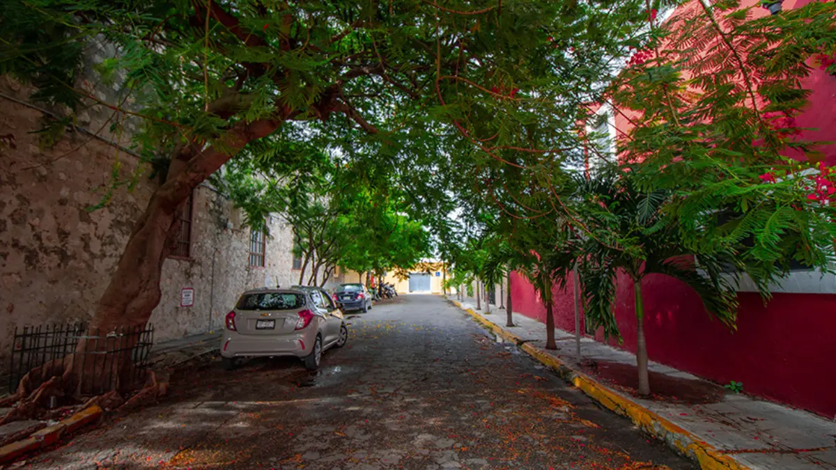 En este barrio están dos de los mercados más importantes de la ciudad Foto: Visit Mérida