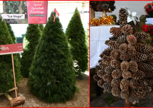 Expo Navidad Forestal en Edomex, aquí fechas y horarios