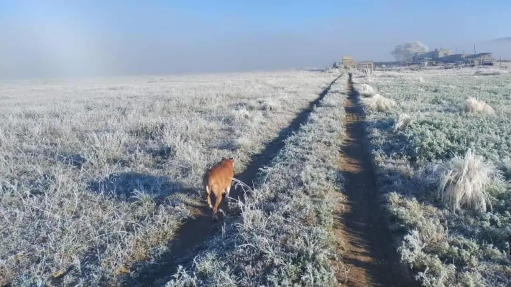 Clima congelado de -5 grados en Las Vigas, La Joya y Valle de Perote