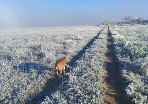 Clima congelado de -5 grados en Las Vigas, La Joya y Valle de Perote