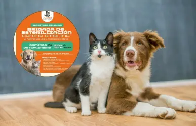 Gobierno de Juárez impulsa bienestar animal campaña de esterilización