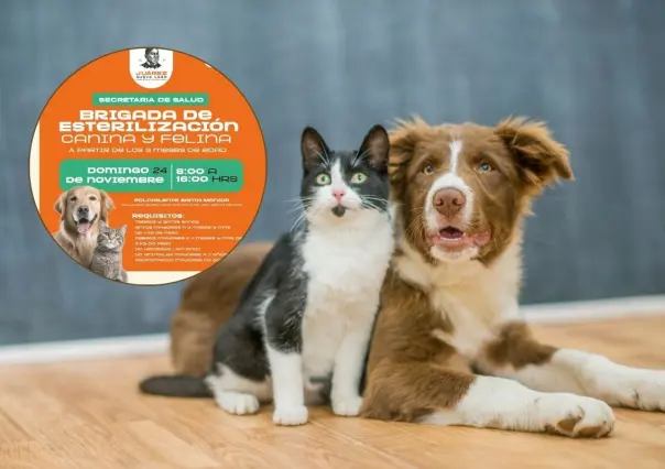 Gobierno de Juárez impulsa bienestar animal campaña de esterilización
