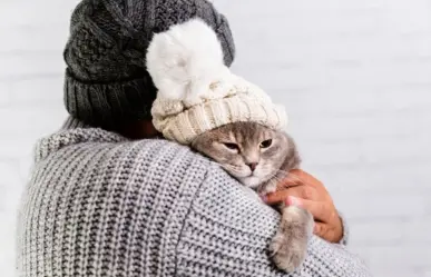 ¿Cómo proteger a tu mascota durante la temporada de frío?