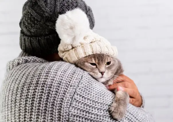 ¿Cómo proteger a tu mascota durante la temporada de frío?