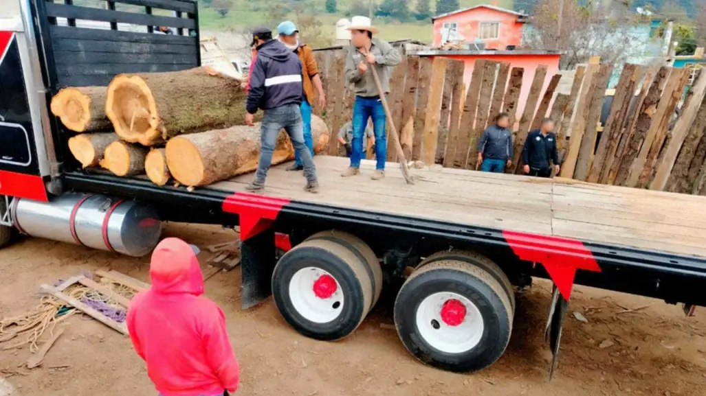 Tala ilegal:  Profepa clausura cuatro aserraderos clandestinos en Ocuilan