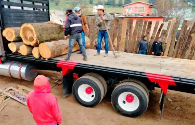 Tala ilegal:  Profepa clausura cuatro aserraderos clandestinos en Ocuilan