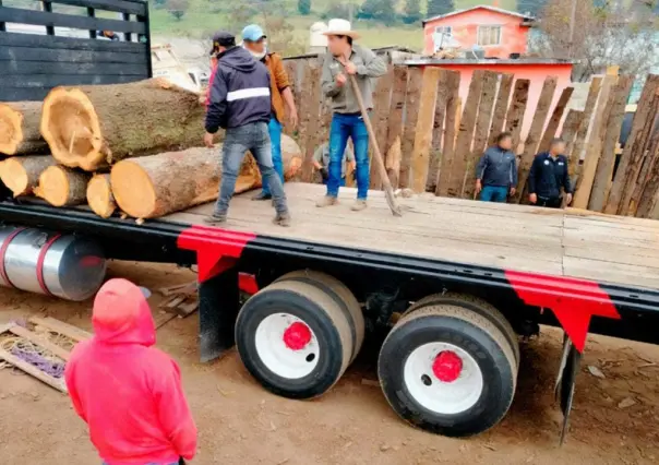 Tala ilegal:  Profepa clausura cuatro aserraderos clandestinos en Ocuilan