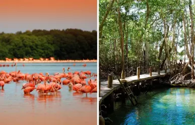 Turismo en Yucatán: Celestún, una opción para pasar unas vacaciones de ensueño