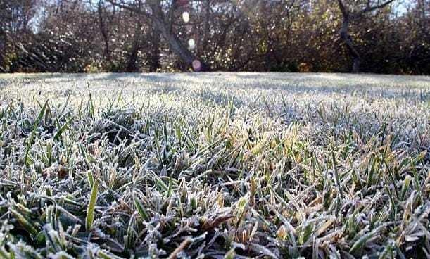 Así puedes proteger tus cultivos y viviendas ante las heladas del invierno