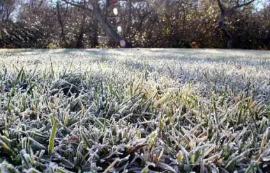 Así puedes proteger tus cultivos y viviendas ante las heladas del invierno