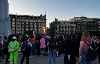 VIDEO: bloque radical se enfrenta a mujeres trans en Marcha 25N