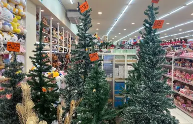 ¿Cuánto cuesta armar el Pino de Navidad con las tiendas chinas en Tamaulipas?