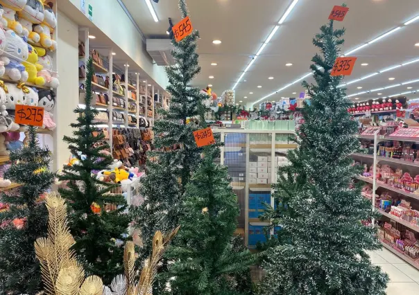 ¿Cuánto cuesta armar el Pino de Navidad con las tiendas chinas en Tamaulipas?