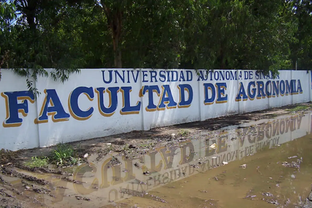 Barda de la Facultad de Agronomía de las Universidad Autónoma de Sinaloa. Foto: Google Maps (Julio Santiago)