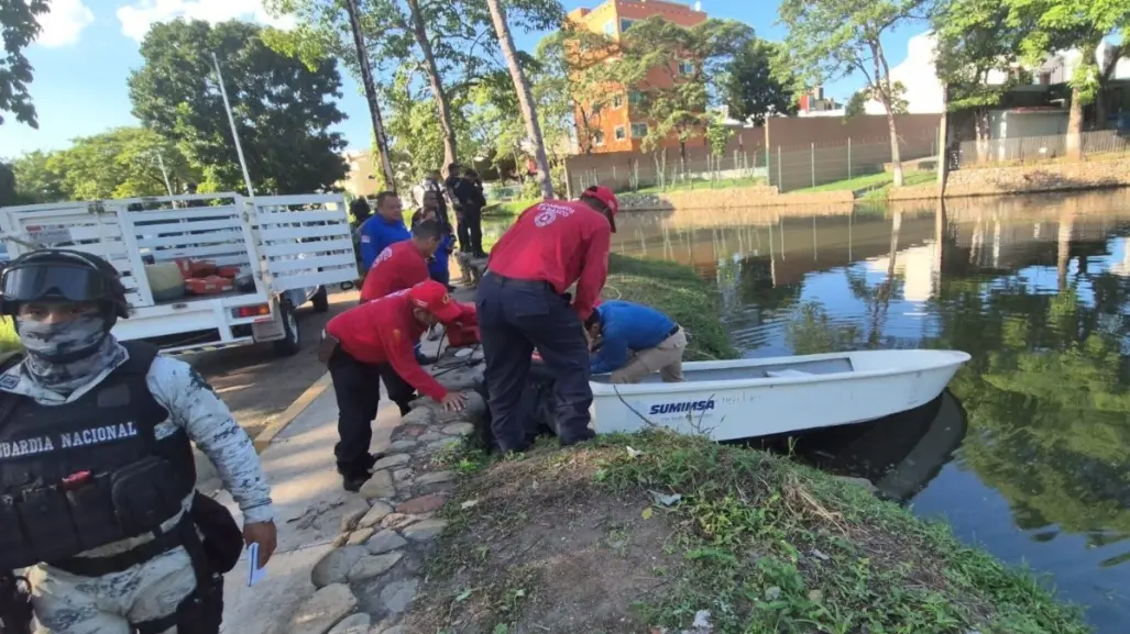 Villahermosa registra al menos 5 ataques de cocodrilos en 4 años; conoce los detalles de cada caso