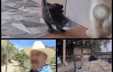 Hombre en Mexicali torturaba gatos y lo exhibía en redes sociales: Activistas intervienen