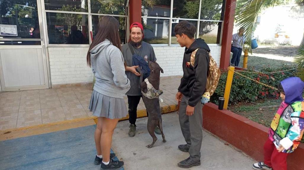 Refugio solicita apoyo en beneficio de perros y gatos abandonados y así puedes a