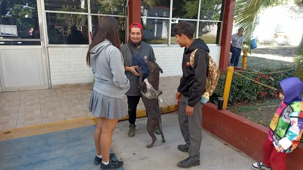 Todo lo recabado ene l Centro de Acopio  será entregado a la organización animalista. Fotos: Daniel Espinoza