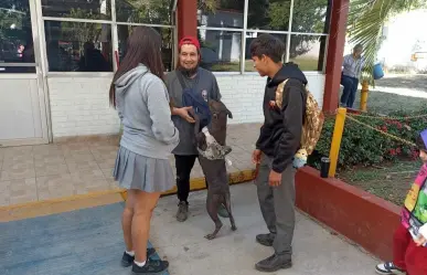 Refugio solicita apoyo en beneficio de perros y gatos abandonados y así puedes a