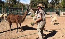 Durango tiene el mejor cuidador de animales de México