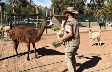 Durango tiene el mejor cuidador de animales de México