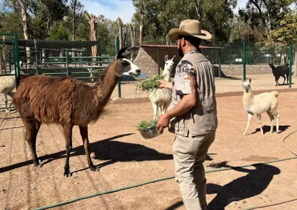 Durango tiene el mejor cuidador de animales de México