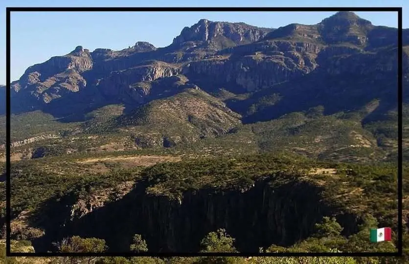 Día Nacional de la Conservación: Rendirán homenaje a la Michilia