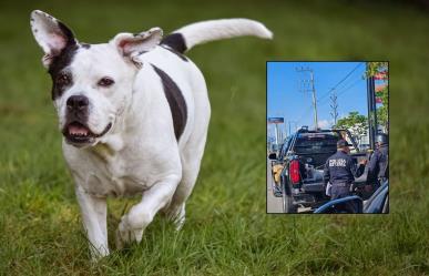 Universitaria es atacada por un perro cerca de la Macroplaza de Mérida