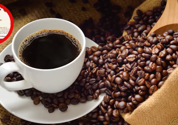 Primer Festival del Café Estado de México 2024; ¿dónde y cuándo se realiza?