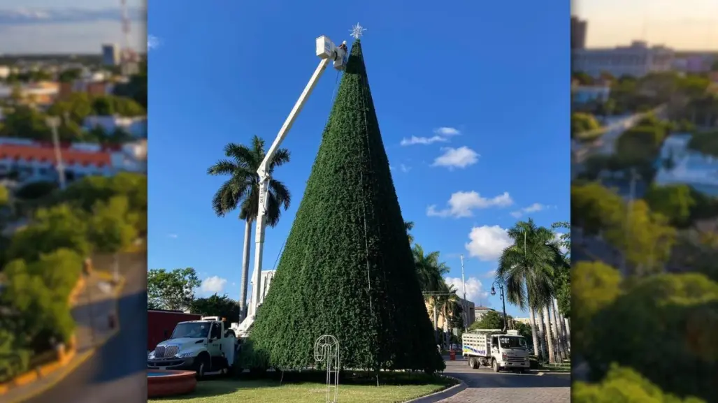 ¿Cuándo es el encendido del arbolito navideño en Paseo de Montejo?