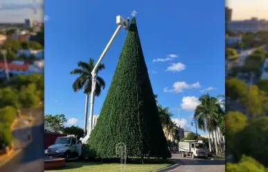 ¿Cuándo es el encendido del arbolito navideño en Paseo de Montejo?