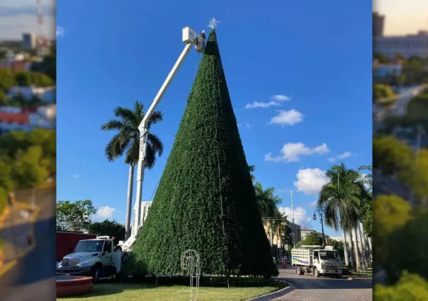 ¿Cuándo es el encendido del arbolito navideño en Paseo de Montejo?