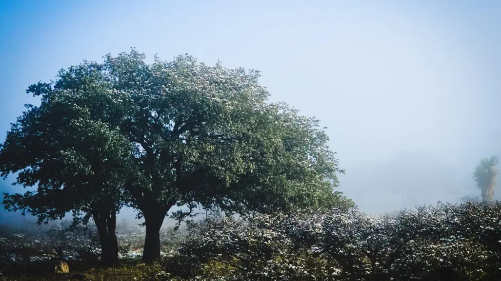 Clima: entra frente frío 11 este 27 de noviembre