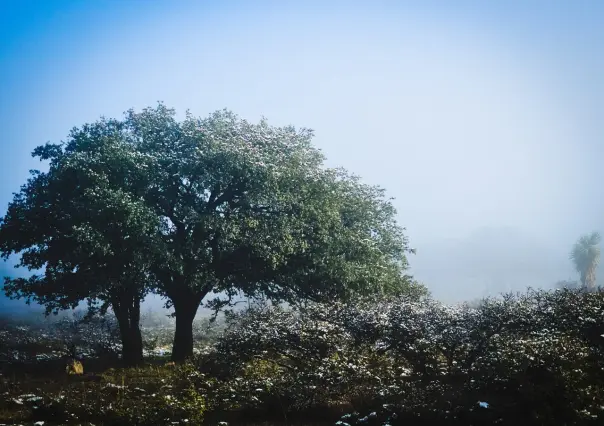 Clima: entra frente frío 11 este 27 de noviembre