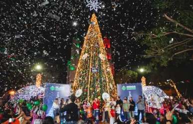 Navidad 2024: Cecilia Patrón encendió el árbol en el parque de San Cristóbal