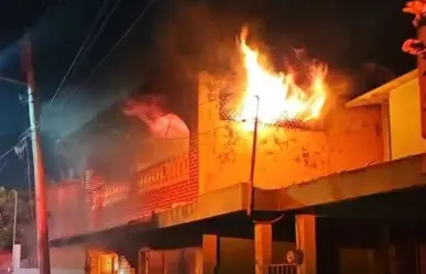 Mueren más de 10 perros chihuahua en incendio en Boca del Río