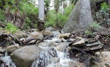 Sierra la Laguna: Guía completa sobre precios y recorridos para los amantes del senderismo