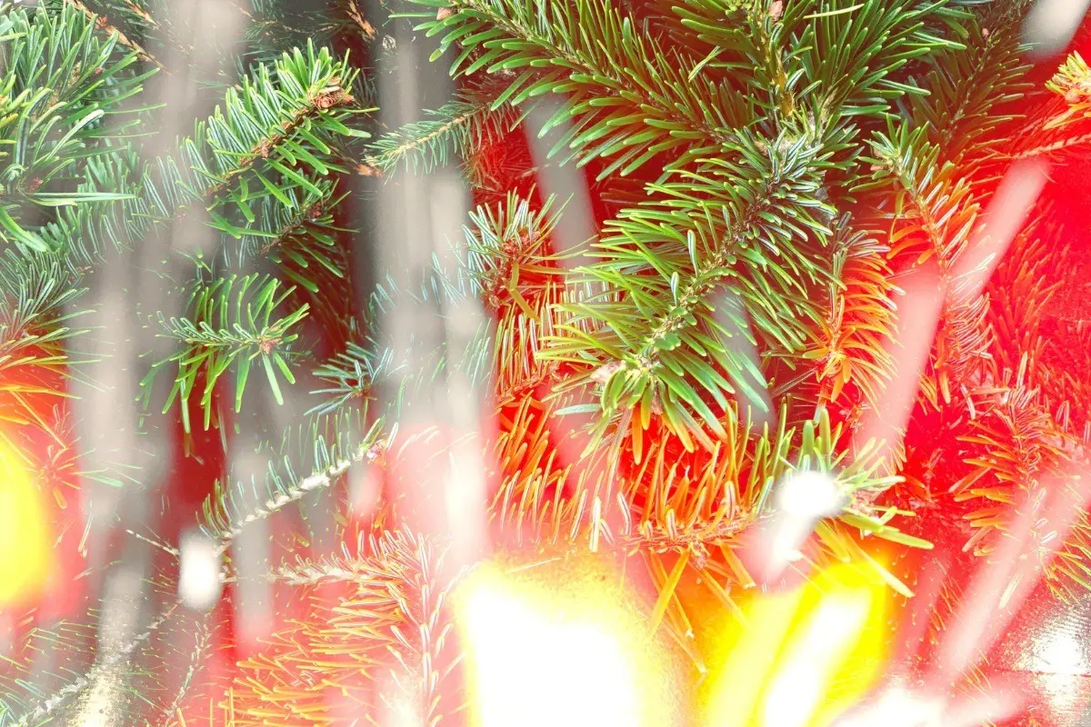 Árbol de Navidad incendiándose. Foto: Canva