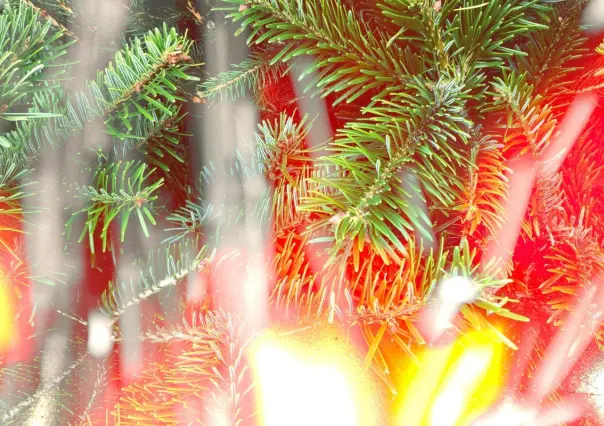 ¡Cuidado con tu árbol de Navidad! De esta manera puedes evitar que se incendie