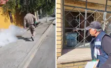Muere menor en Ramos Arizpe por dengue hemorrágico, suman 33 decesos en Coahuila