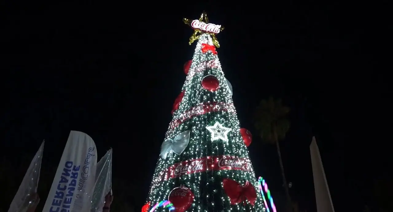 Pino de Navidad. Foto: Azael Valdés