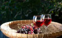 ¿Cuáles son las bebidas artesanales típicas de Coahuila?