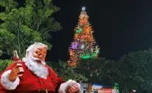 Árbol Coca-Cola en Mérida: Estos son los juegos mecánicos que puedes encontrar