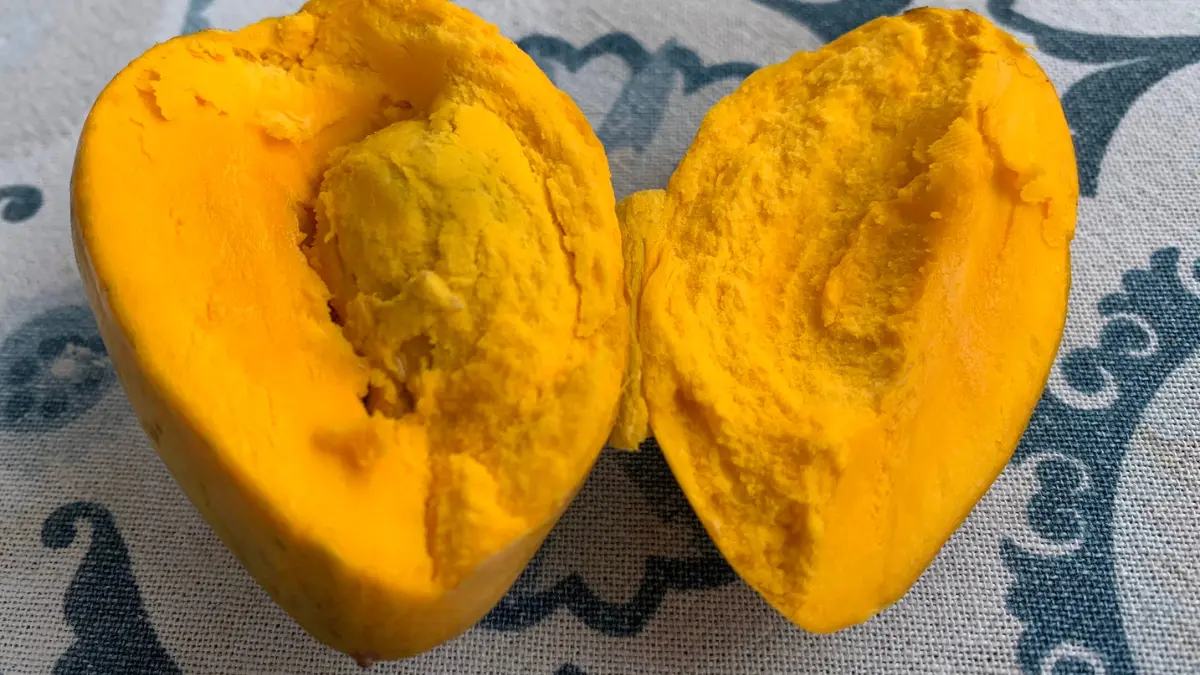 Esta fruta suele encontrarse en los solares mayas Foto: Frutas de Colombia