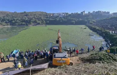 Presa Madín, limpian y retiran más de mil 700 metros cúbicos de lirio acuático