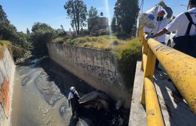 Limpiemos nuestro Edomex: Metepec suma 20 toneladas de basura recolectadas